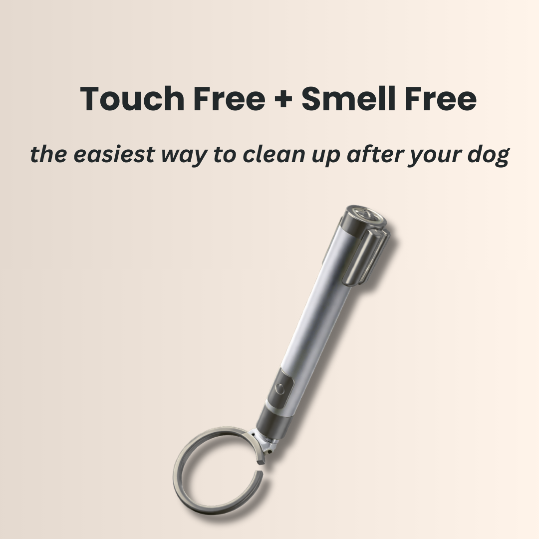 Masqin Swoop Catcher